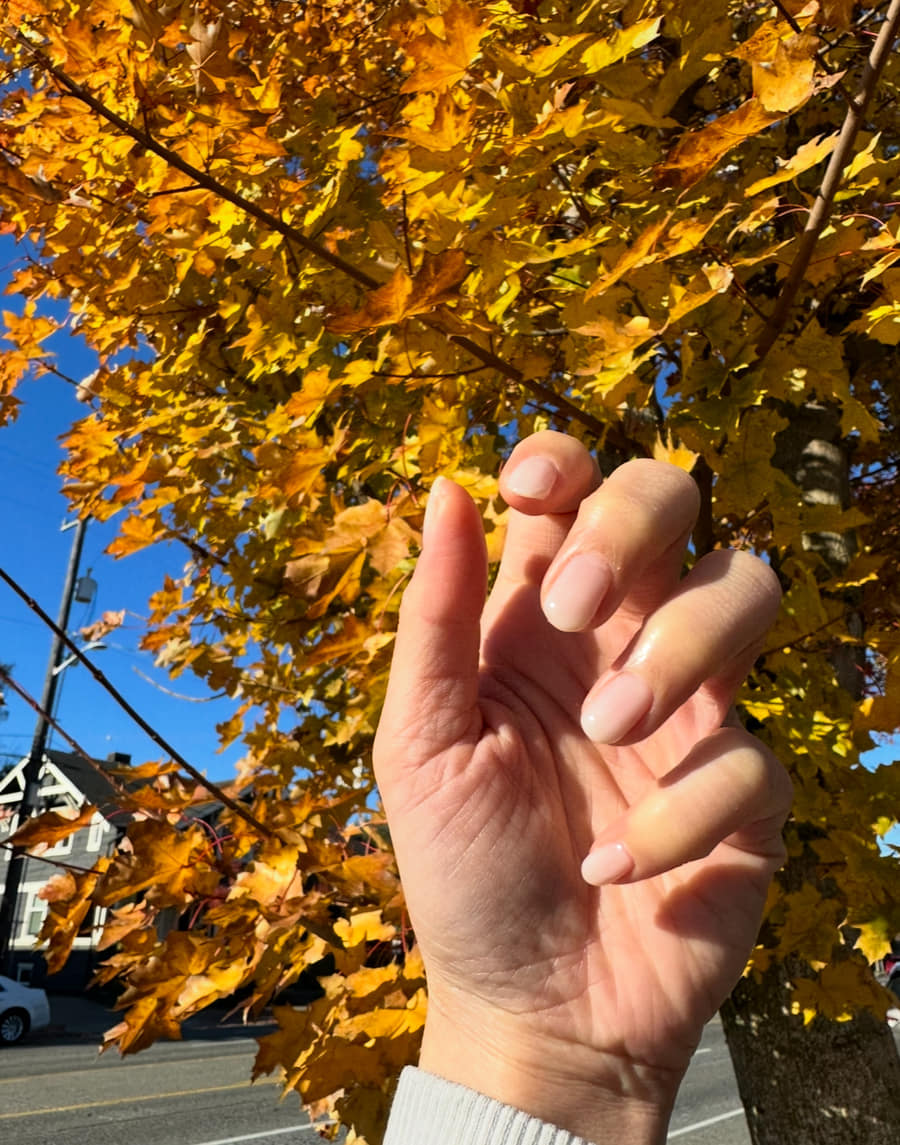 Sheer nude nails held up against a golden maple on 15th Ave NW
